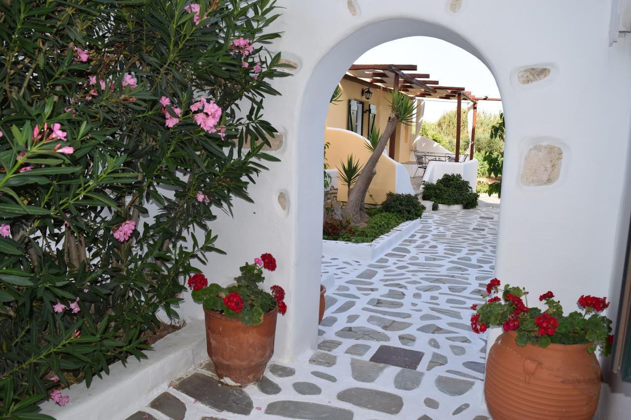 Tzane Studios & Apartments - Steps Away From Golden Beach Chrisi Akti  Buitenkant foto