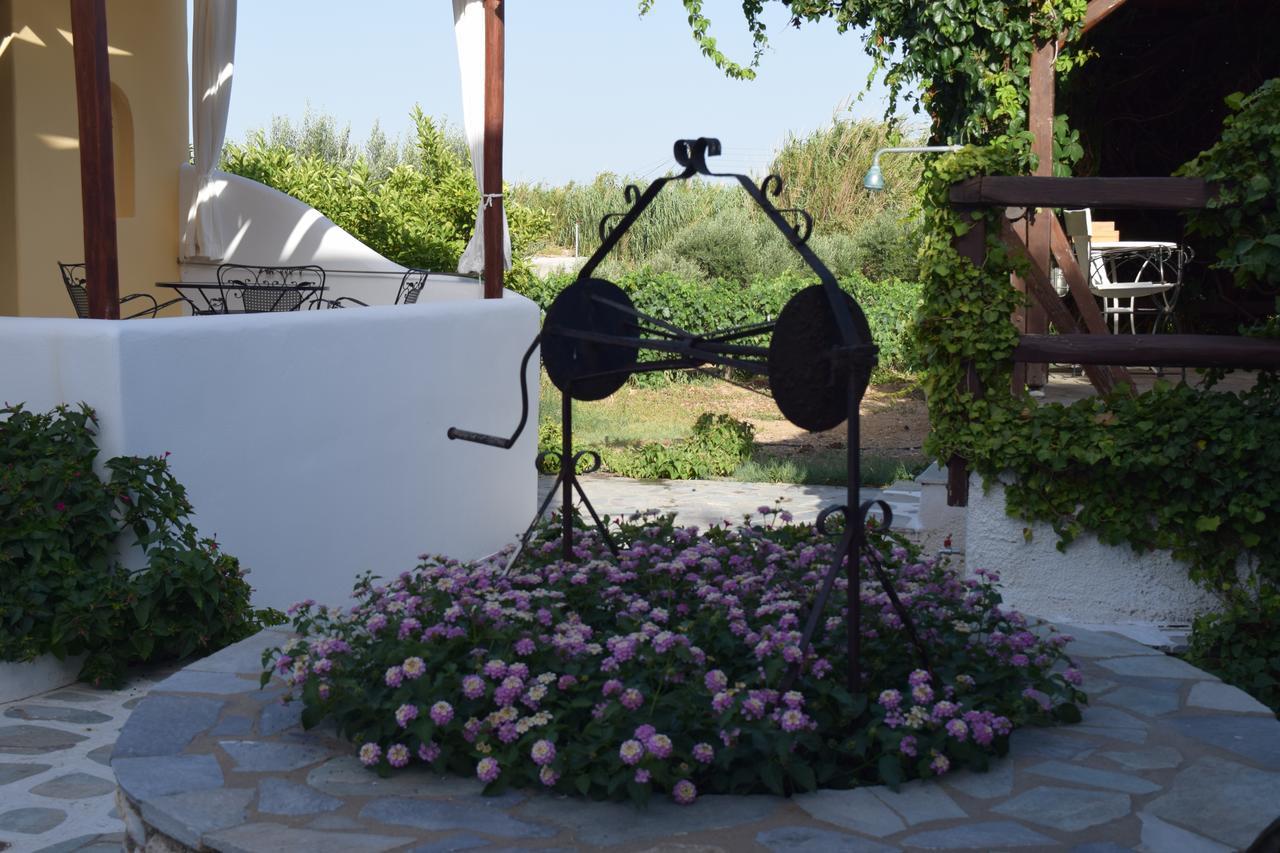 Tzane Studios & Apartments - Steps Away From Golden Beach Chrisi Akti  Buitenkant foto